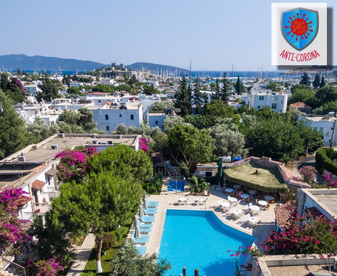 Moon Shine Hotel & Suites